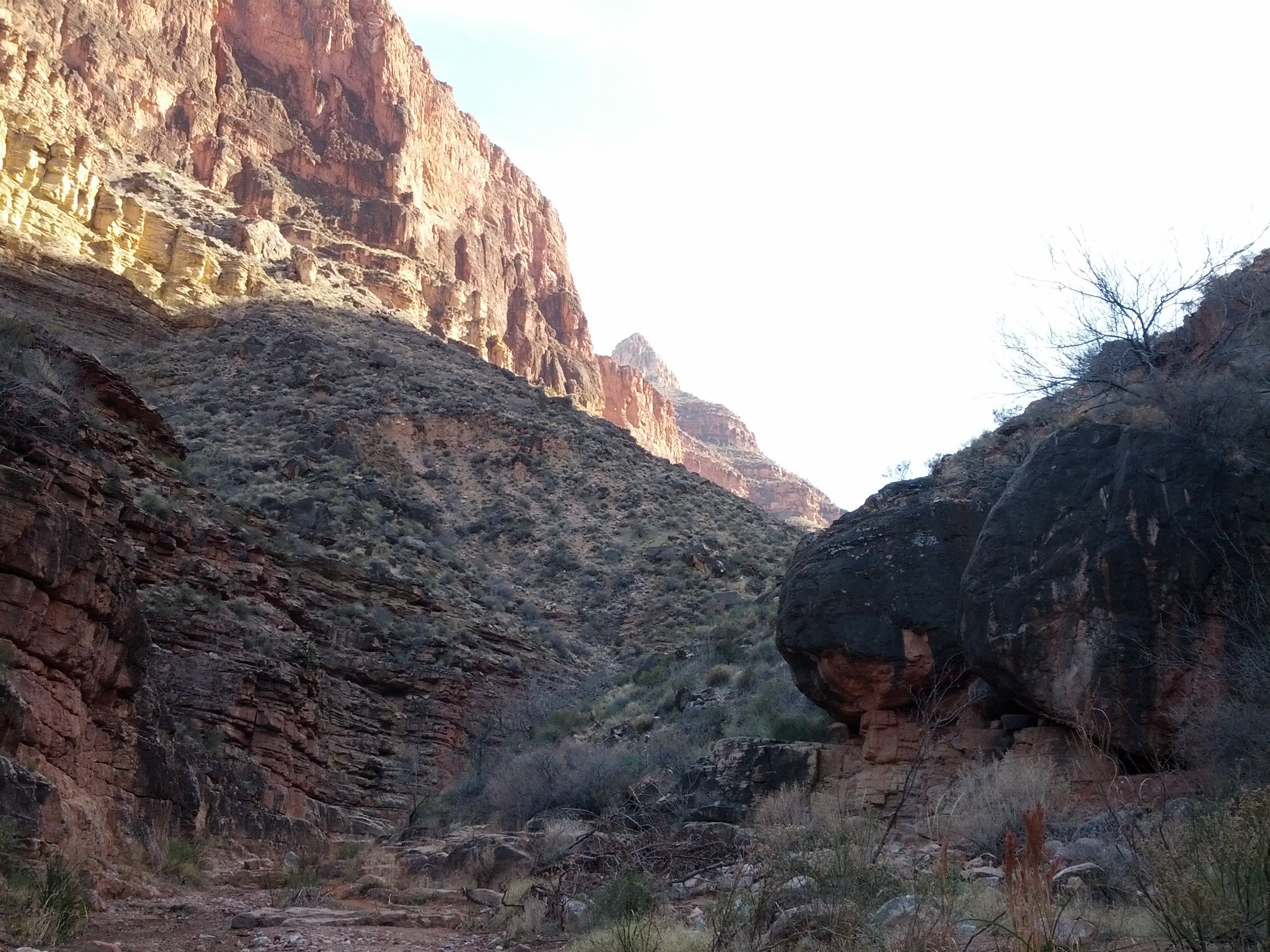 IMG_20130314_160550.jpg